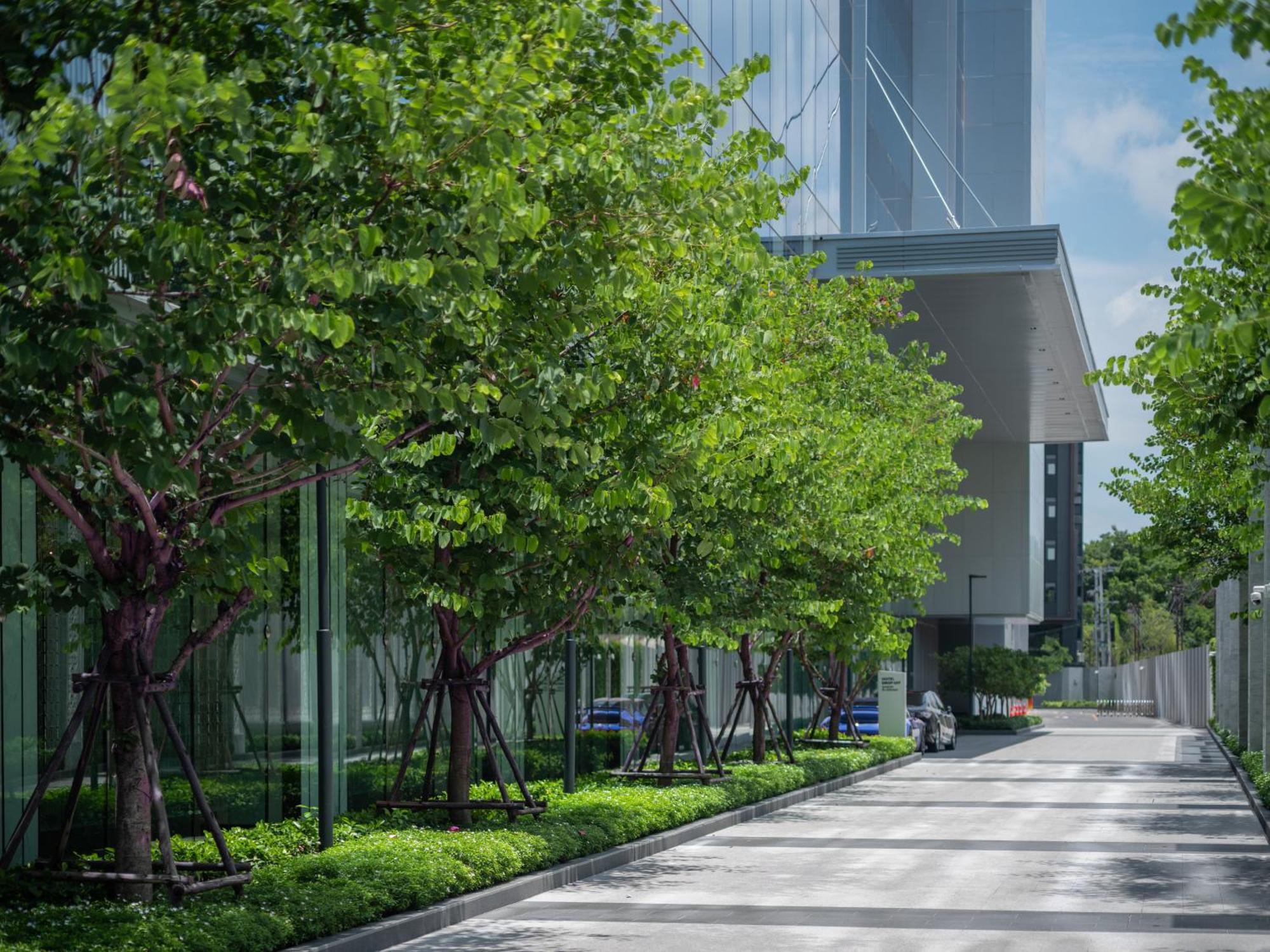 בנגקוק Eastin Grand Hotel Phayathai מראה חיצוני תמונה The park